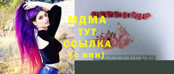 индика Саяногорск