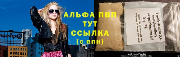 индика Саяногорск