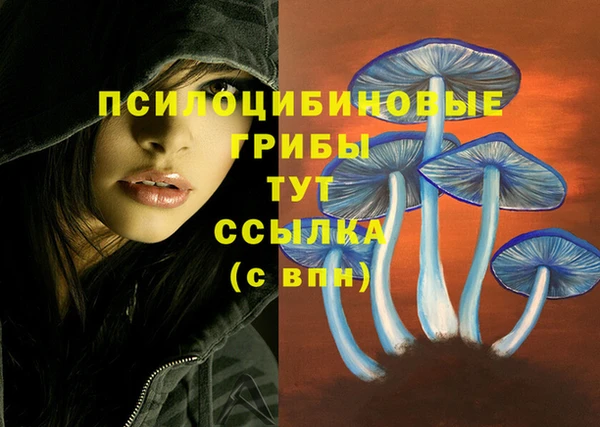 трава Алексеевка