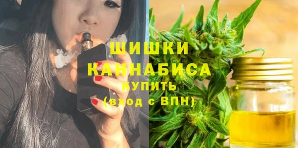 индика Саяногорск