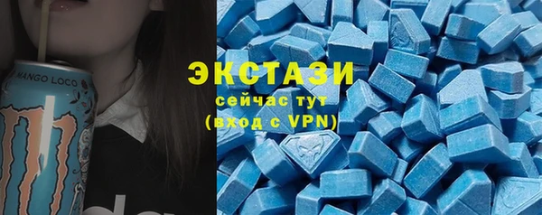 индика Саяногорск