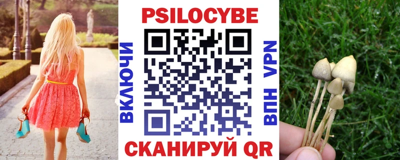 Галлюциногенные грибы мухоморы  Теберда 